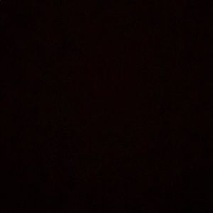 Meet your Posher, Dante